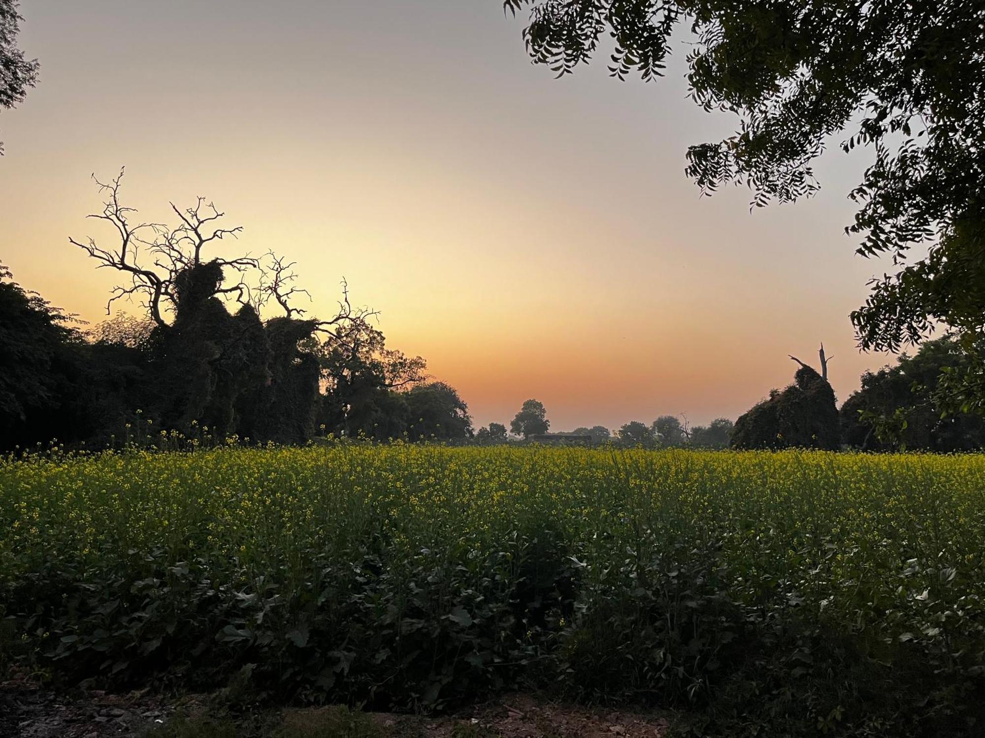 Sharad Baug Homestay Bhuj Exteriör bild