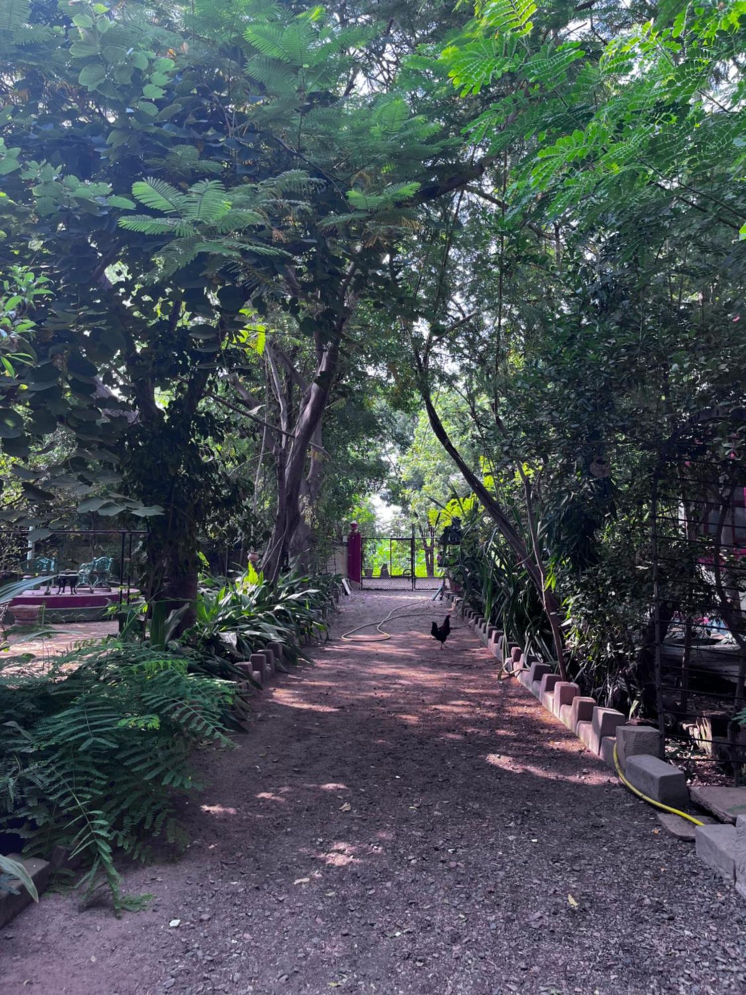 Sharad Baug Homestay Bhuj Exteriör bild