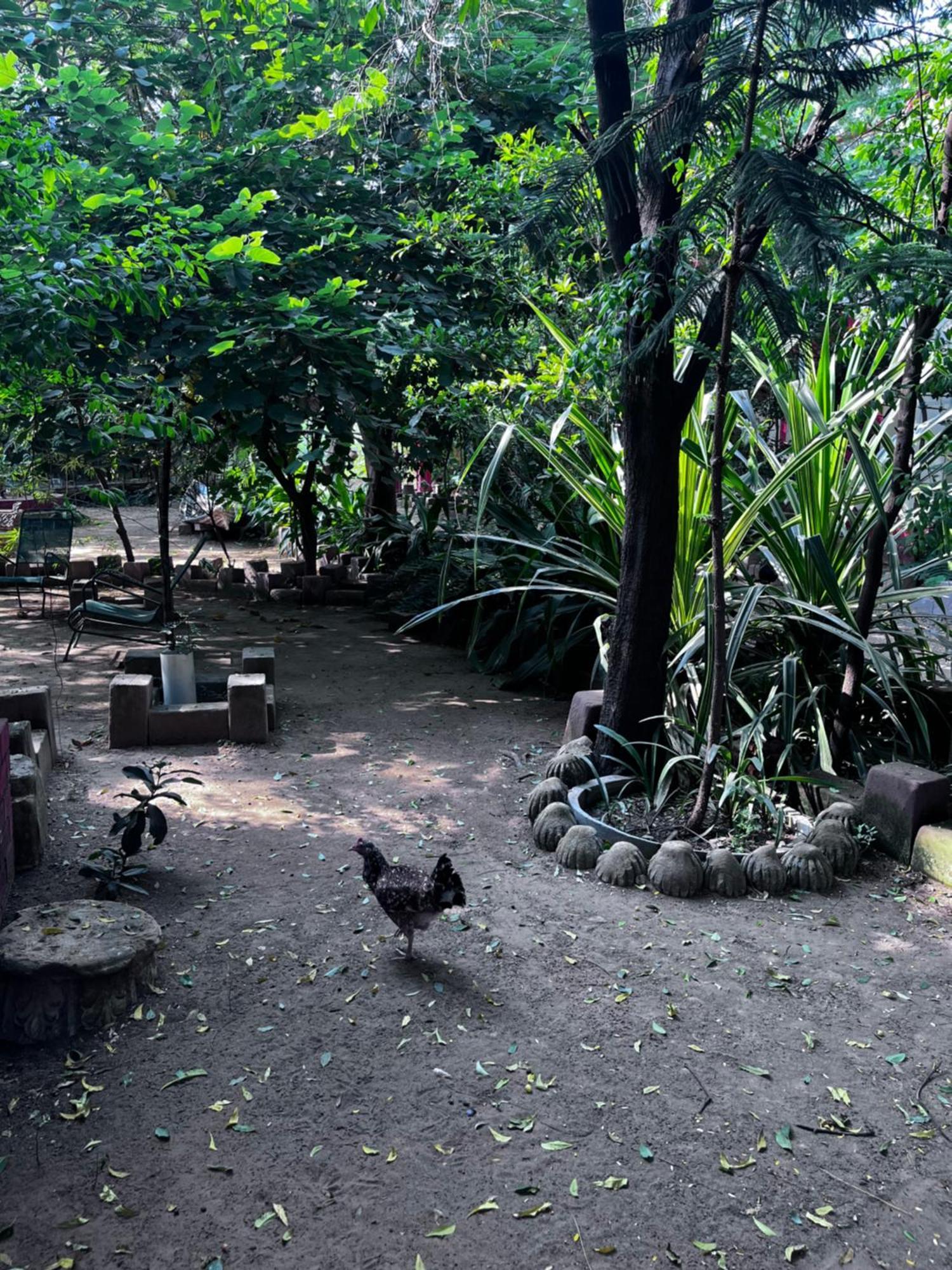Sharad Baug Homestay Bhuj Exteriör bild